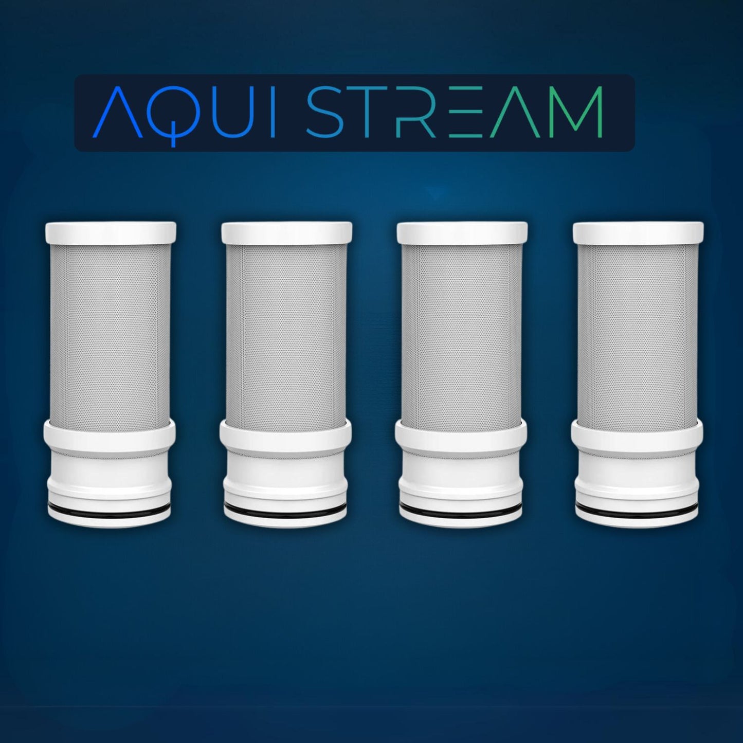 1 Year Supply (4 pcs)